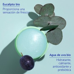 CAUDALIE VINOFRESH DEODORANTE NATURAL 24H