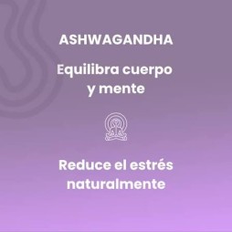 SOTYA ASHAWAGANDHA