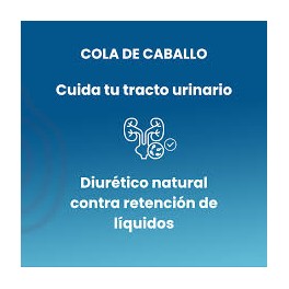 SOTYA COLA DE CABALLO 100 COMPRIMIDOS