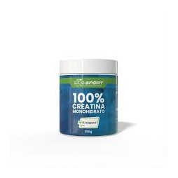 SOTYA CREATINA 350GR