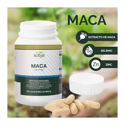 SOTYA MACA 100C