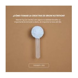 CREATINA PIRULETA GROW NUTRITION