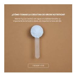 CREATINA PIRULETA GROW NUTRITION