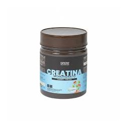 GROW NUTRITION CREATINA MONOHIDRATO SANDIA-MELON 250G