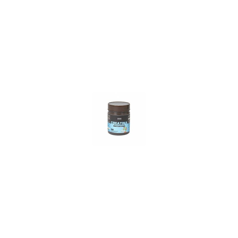 GROW NUTRITION CREATINA MONOHIDRATO SANDIA-MELON 250G