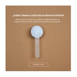 GROW NUTRITION CREATINA MONOHIDRATO SANDIA-MELON 250G