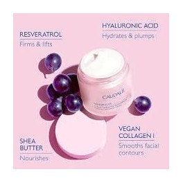 CAUDALIE RESVERATROL CREMA DIA RECARGA