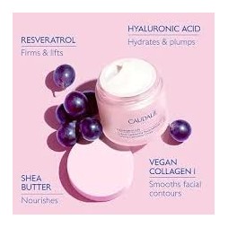 CAUDALIE RESVERATROL CREMA DIA RECARGA